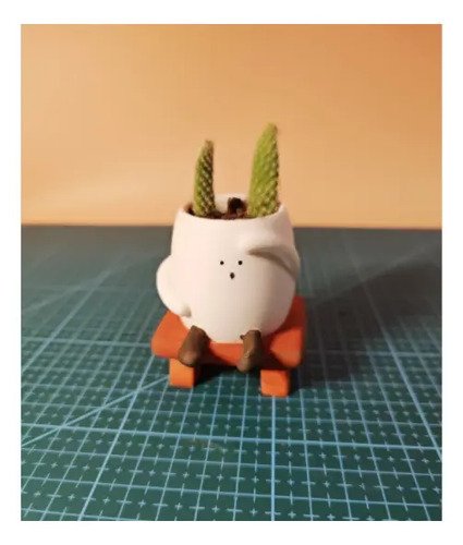 Adorable Decoración De Escritorio De Pequeña Maceta - Foto 2