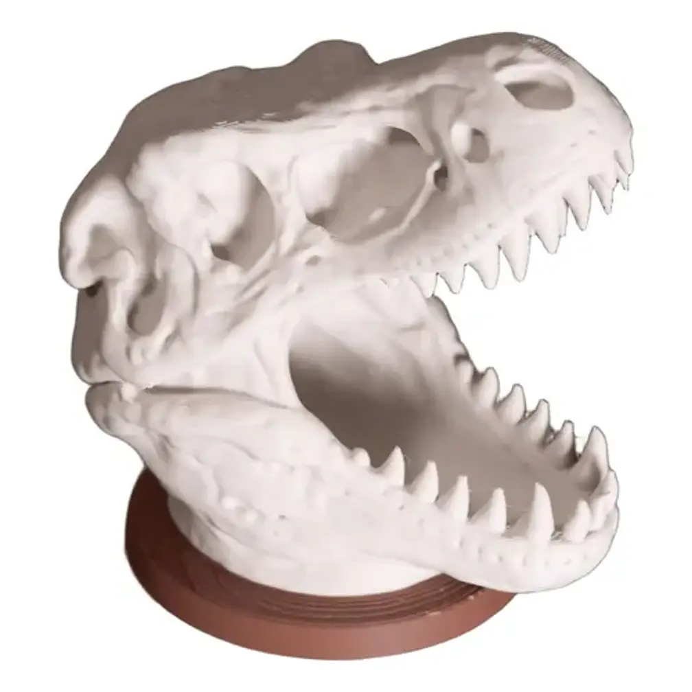Portalápices - Calavera De T-rex 3