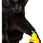 Juguete Para Golosinas Gatos - Pera Mecedora - Miniatura 1