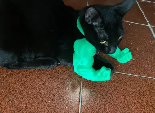 Brazo De Hulk Para Mascotas - Foto 3