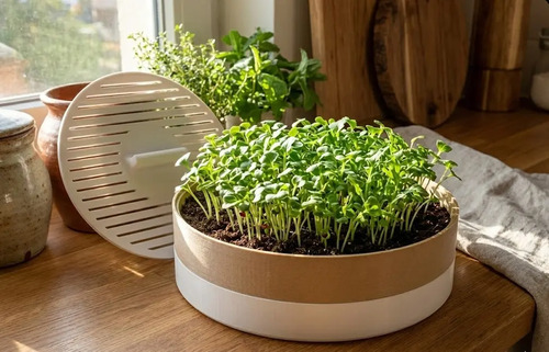 Macetero Modular Para Microvegetales