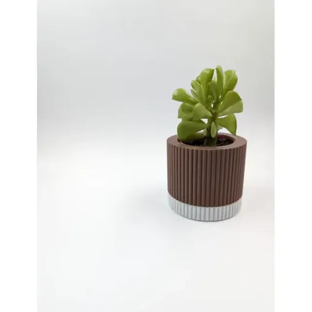 Pequeño Macetero Moderno