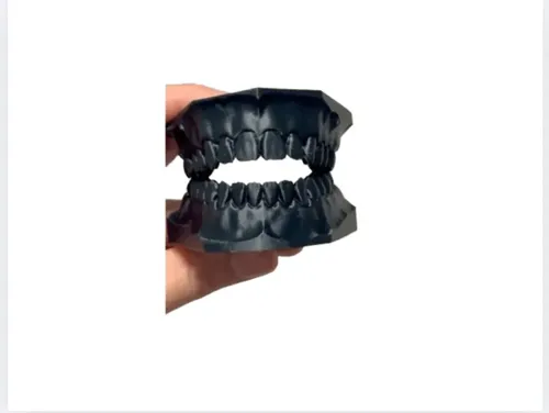 Modelo Dental Didáctico