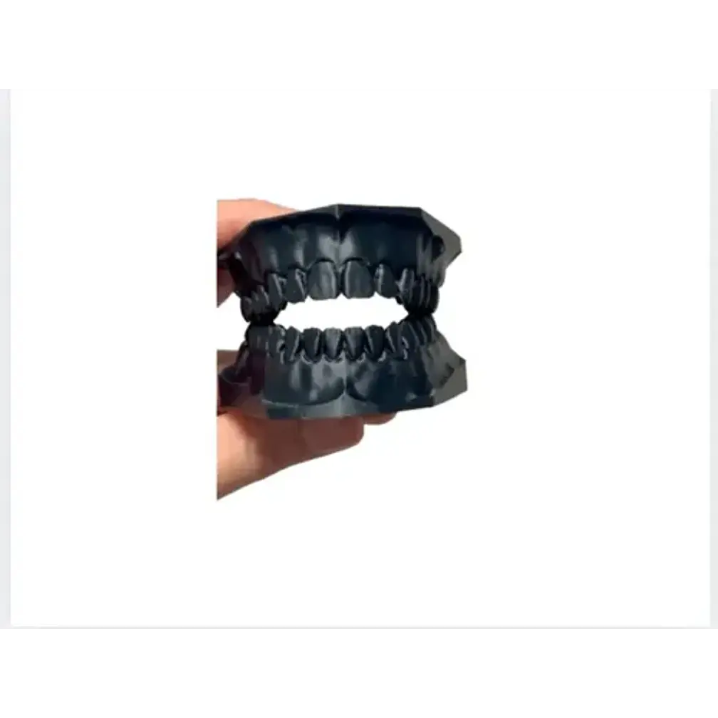 Modelo Dental Didáctico 1