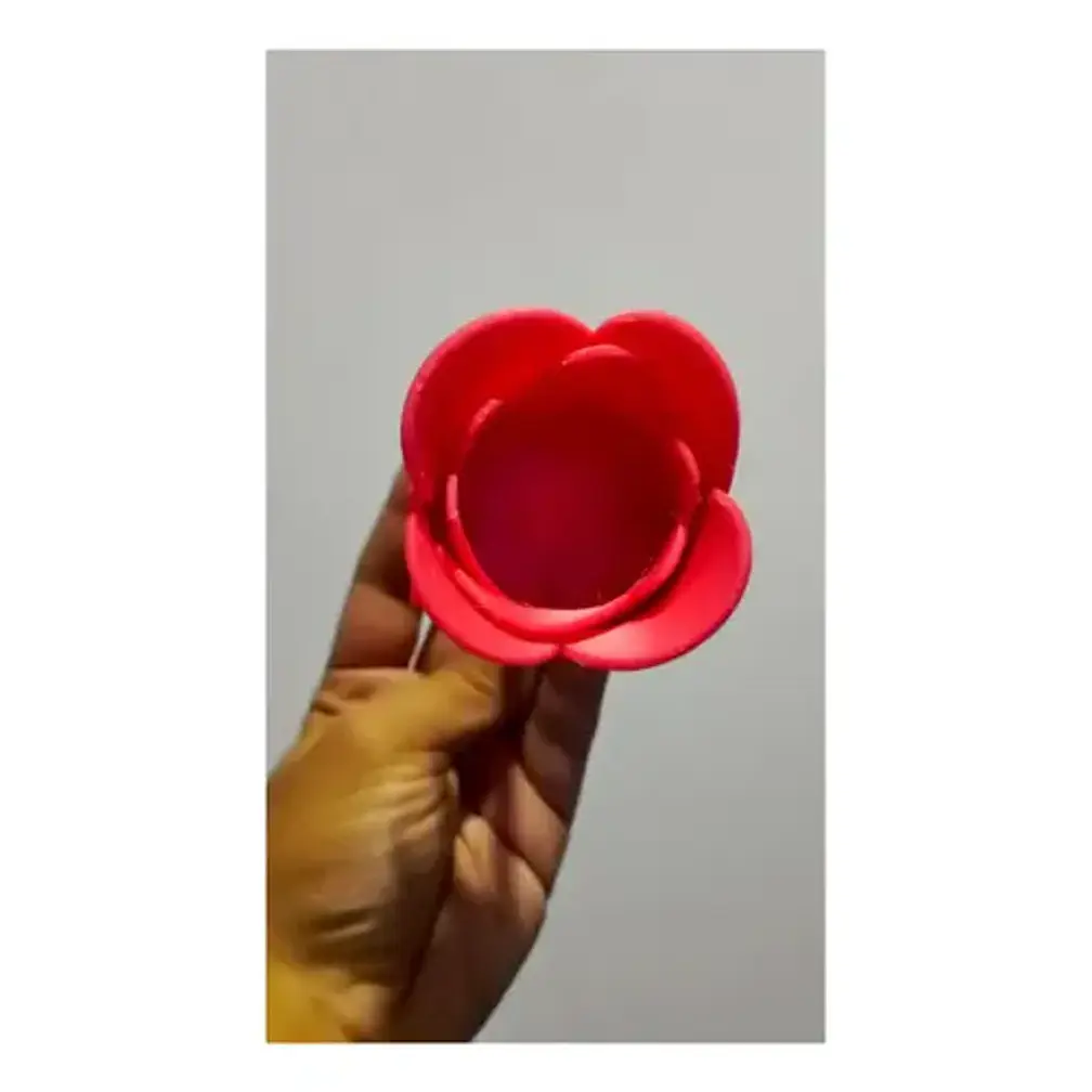 Rosa Para Regalo De San Valentín 1