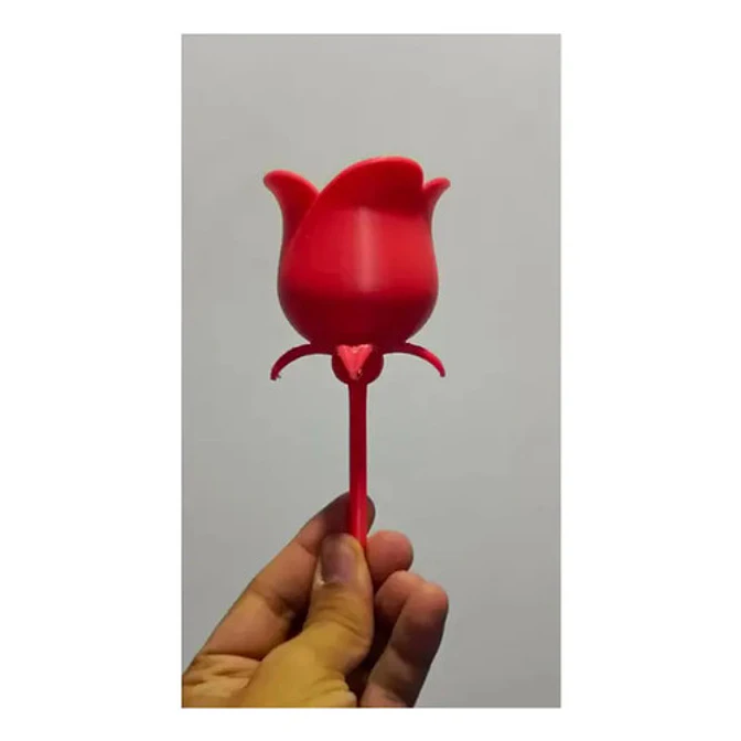 Rosa Para Regalo De San Valentín 2