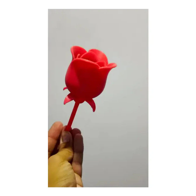 Rosa Para Regalo De San Valentín 3