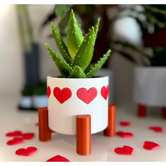 Maceta De Corazones - San Valentín 2