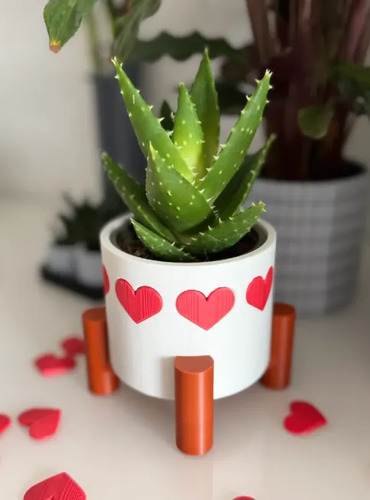 Maceta De Corazones - San Valentín - Foto 3
