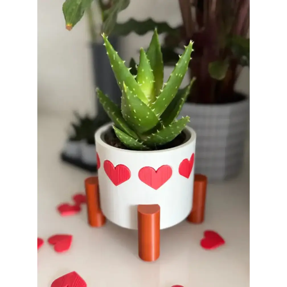 Maceta De Corazones - San Valentín 3