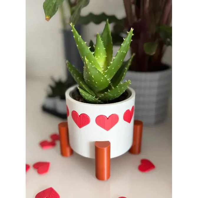 Maceta De Corazones - San Valentín 3