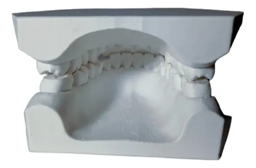 Figura Decorativa De Modelo Dental - Foto 2