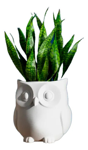 Macetero Con Forma De Búho