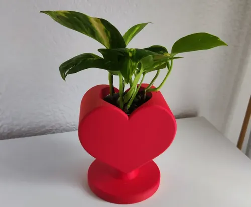 Macetero En Forma De Corazón - Foto 2