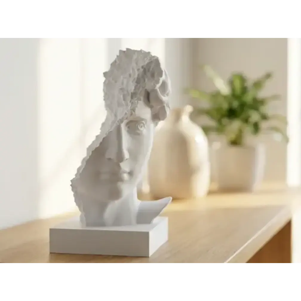 Escultura- Busto De David Arruinado 5