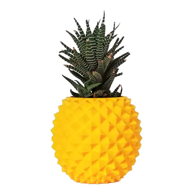 Macetero Diseño Piña 1