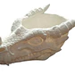 Bowl- Cabeza De Dragón Furioso - Miniatura 1