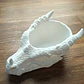 Bowl- Cabeza De Dragón Furioso - Miniatura 3