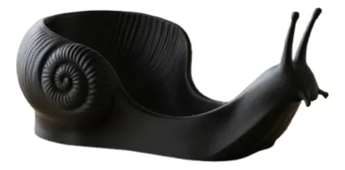 Bowl Minimalista De Caracol