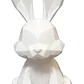 Figura - Conejo De Pascua Polígono - Miniatura 1