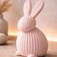 Figura Decorativa De Conejito Acanalado - Miniatura 2