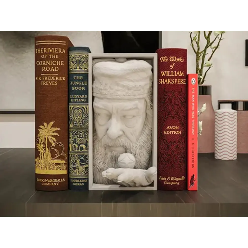 Rincón De Libros - Dumbledore 1