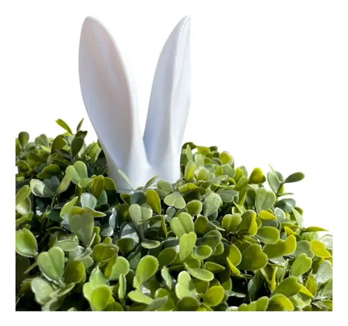 Decoración De Plantas - Orejas De Conejo