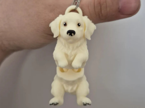 Llavero De Golden Retriever - Foto 2
