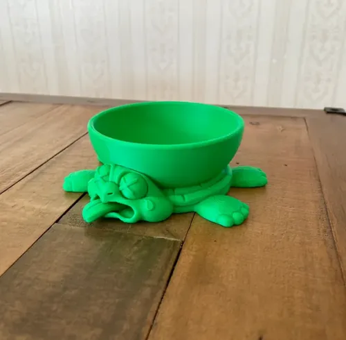Cuenco De Tortuga Aplastada - Foto 3
