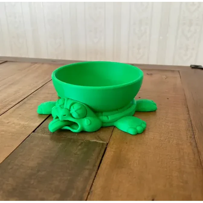 Cuenco De Tortuga Aplastada 3
