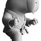Figura Decorativa Capibara Karate Blanco - Miniatura 1