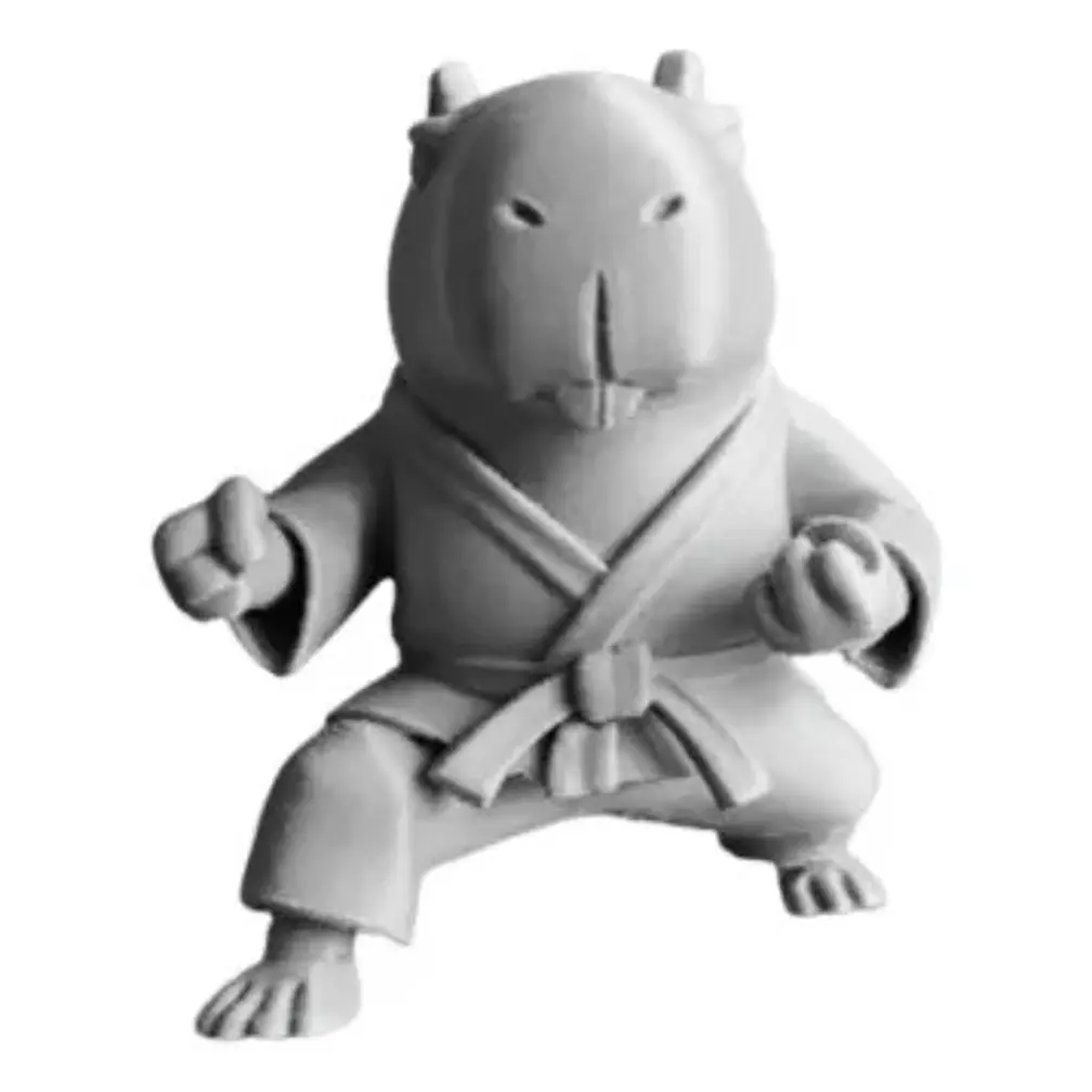 Figura Decorativa Capibara Karate Blanco 2