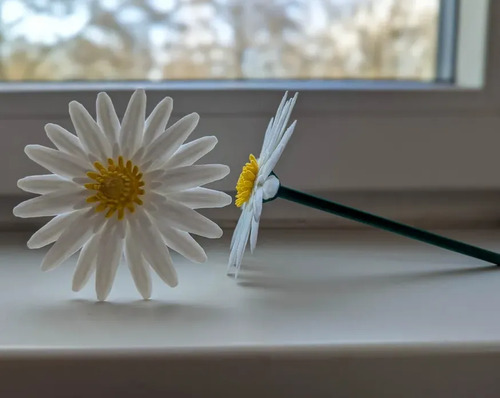 Figura De Margaritas | Flores Modulares