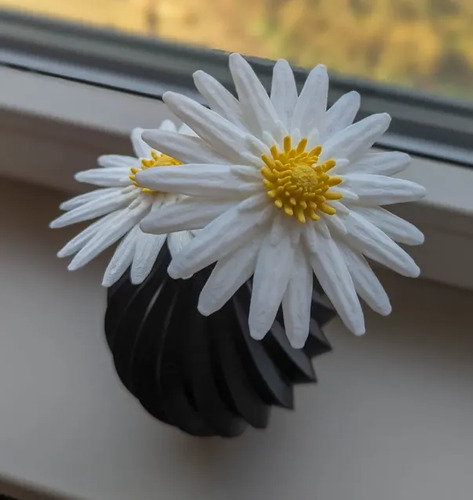 Figura De Margaritas | Flores Modulares - Foto 2