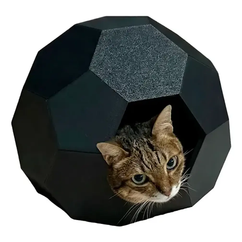 Casa Para Gatos Estilo Caparazón De Tortuga 1