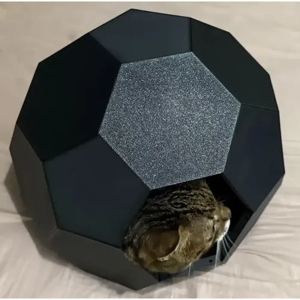 Casa Para Gatos Estilo Caparazón De Tortuga 3