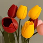 Decoración De Ramo De Tulipanes - Miniatura 3