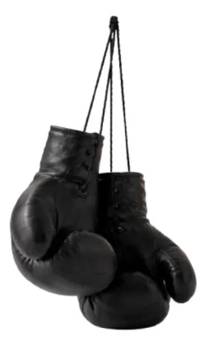 Escultura Decorativa- Guantes De Boxeo