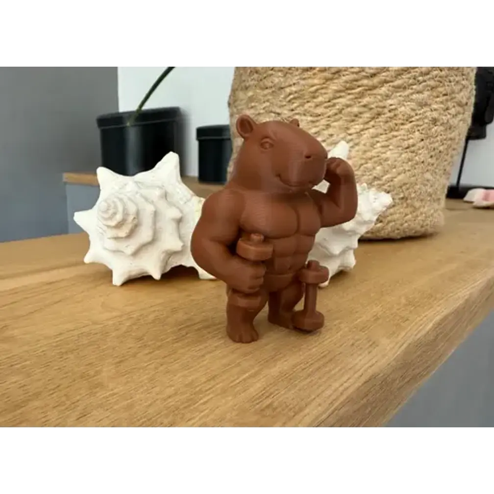 Figura Decorativa- Capibara Musculoso 3