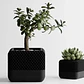 Figura Decorativa Maceta De Estilo Home Pod - Miniatura 1
