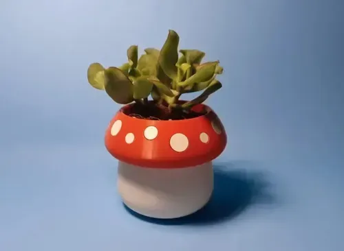 Mini Maceta - Honguito