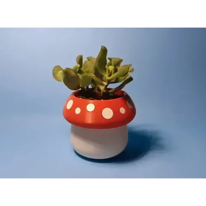 Mini Maceta - Honguito 1