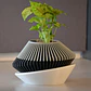 Figura Decorativa Modern Planter - Miniatura 4