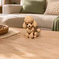 Figura Decorativa Prints Patro- Poodle De Punto - Miniatura 2