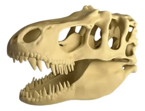 Escultura Decorativa- Cabeza De T-rex