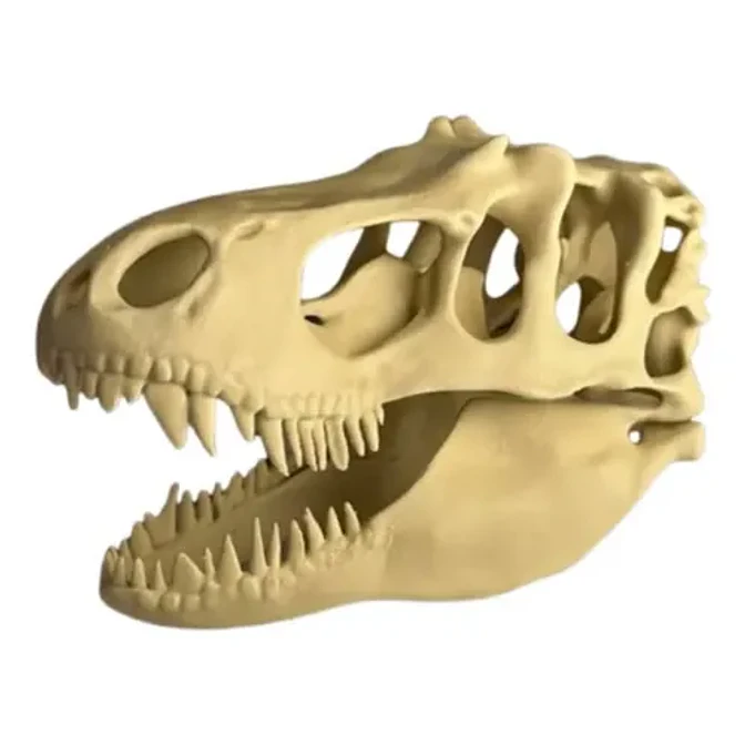 Escultura Decorativa- Cabeza De T-rex 1