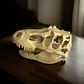 Escultura Decorativa- Cabeza De T-rex - Miniatura 2