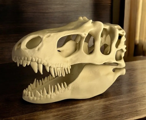 Escultura Decorativa- Cabeza De T-rex - Foto 3