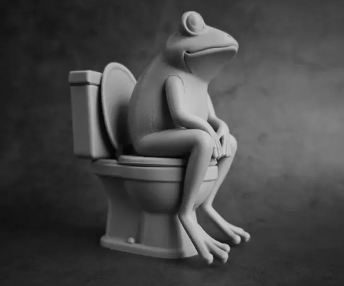 Figura Decorativa Prints Patro- Rana Inodoro - Foto 4