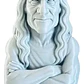 Escultura Decorativa Prints Patro- Busto Steve Harris V1 - Miniatura 1